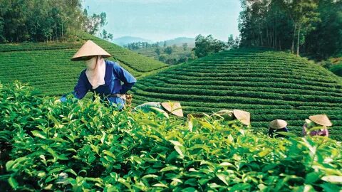 Học tiếng Anh và tìm thấy tình yêu: Câu chuyện của chị An và anh David_Tăng tốc độ xem video ngắn