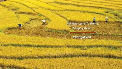 Hotspot Matrix và Chuyển đổi số – chuyên ngành học của tương lai vừa “đổ bộ” Trường Đại_Biên tập video